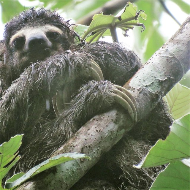 35686705_10155379872481790_5572895674887831552_n