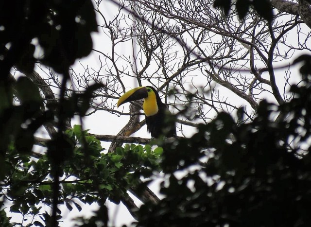 36200343_10155391253071790_6047864473086066688_n