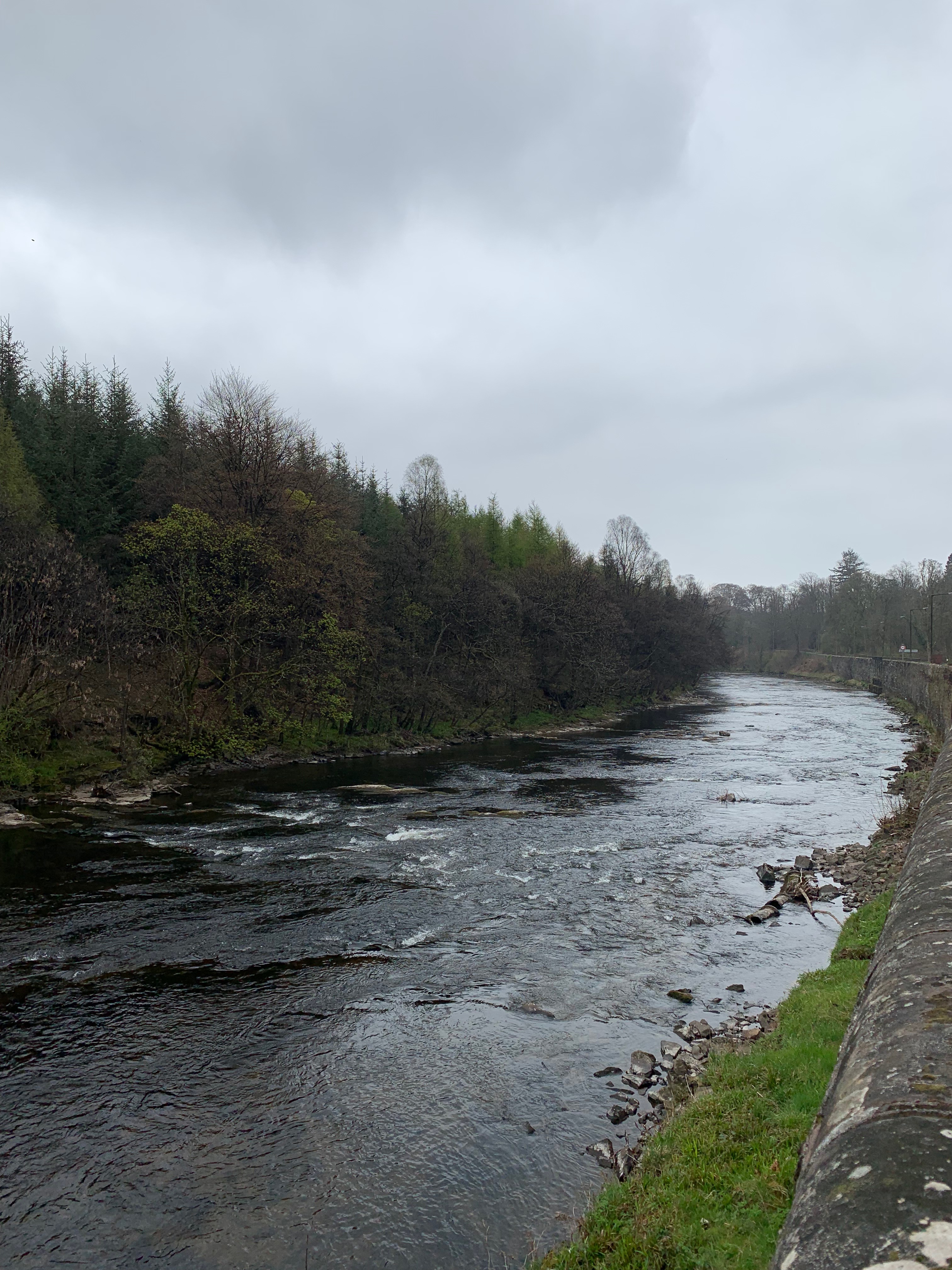 59919220_2203104056475199_1438537461151039488_n