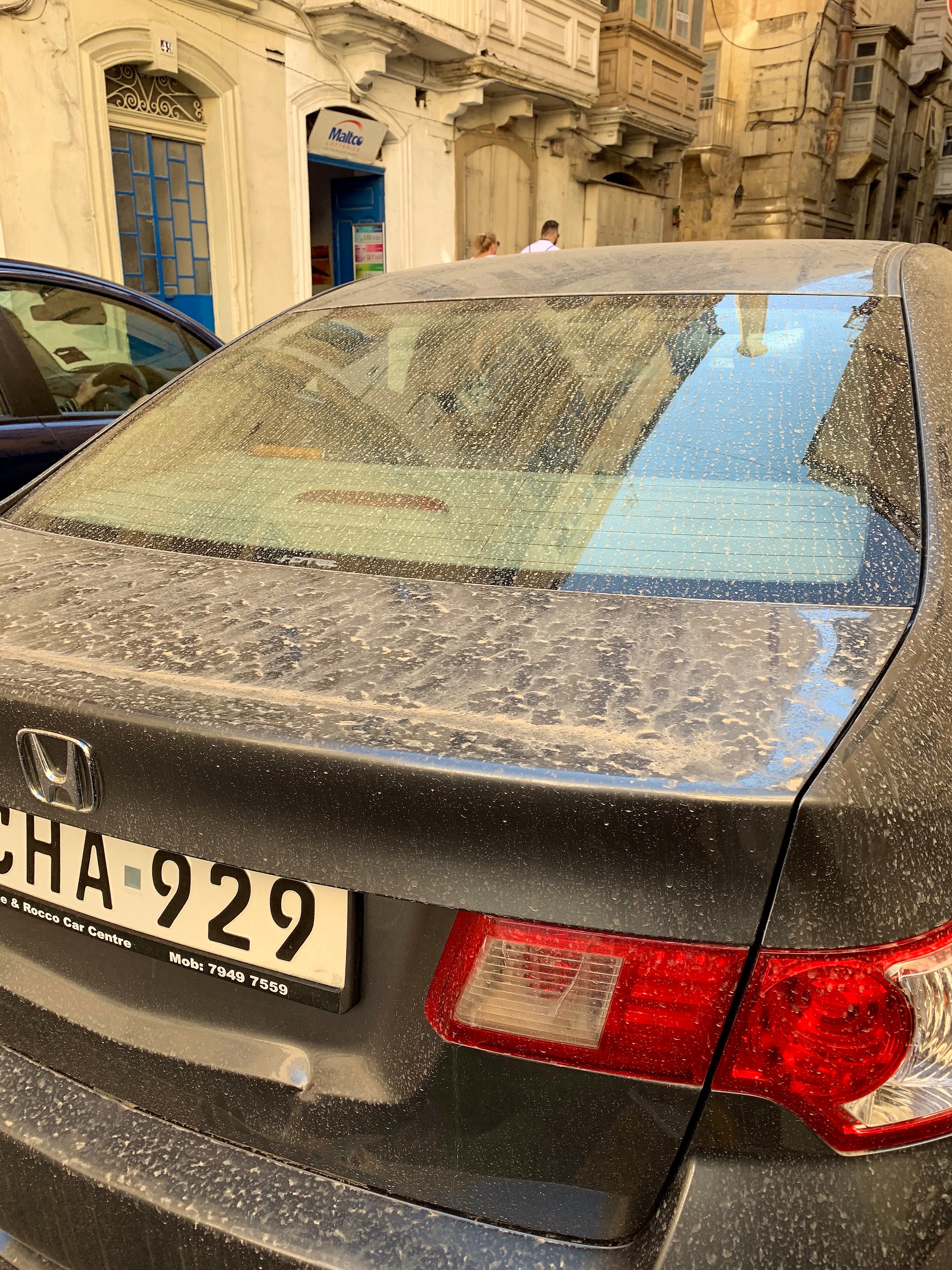 65938720_905952726430798_2394534771070861312_n