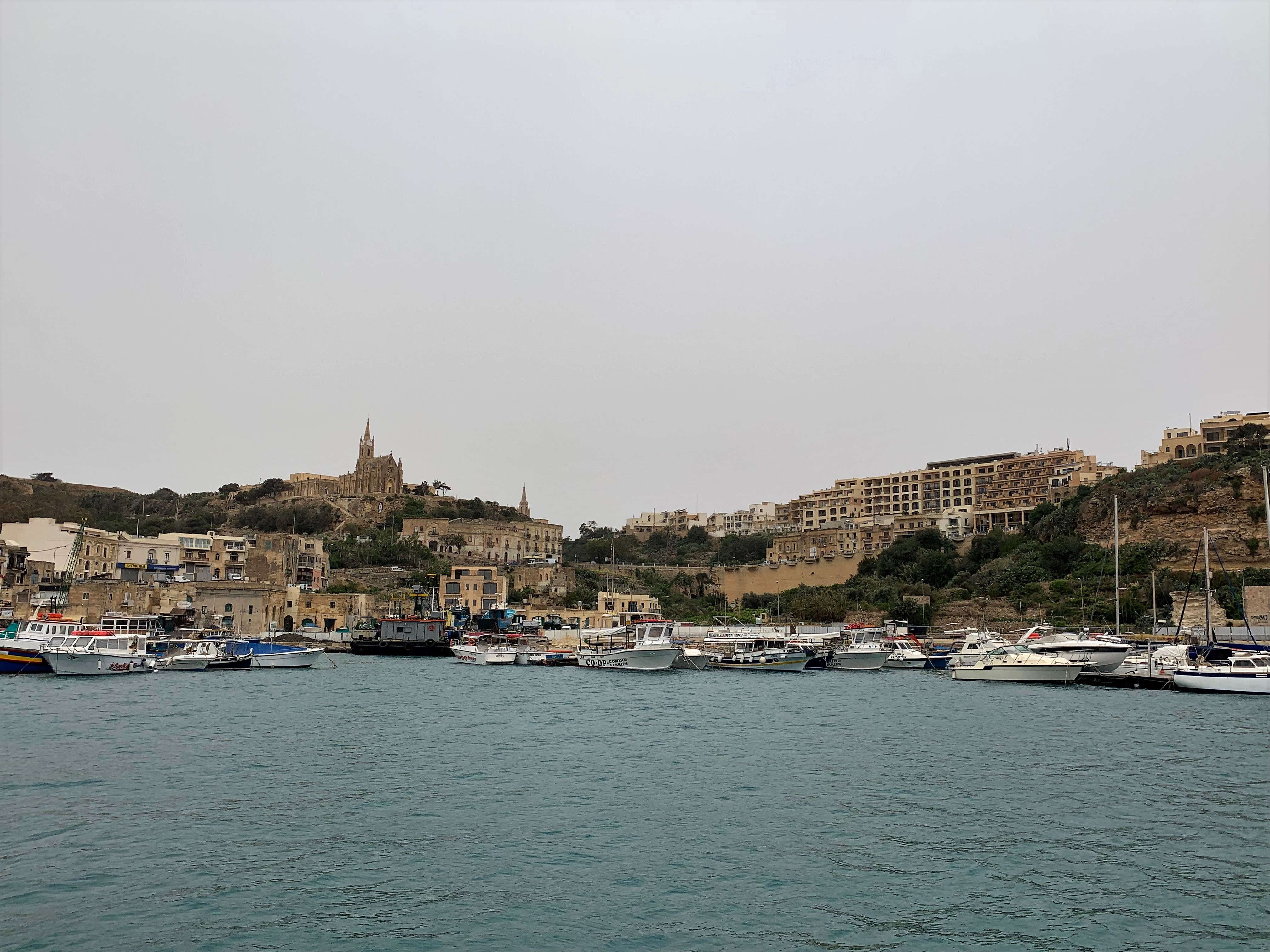 66133031_2371289066474139_5345370486756868096_n