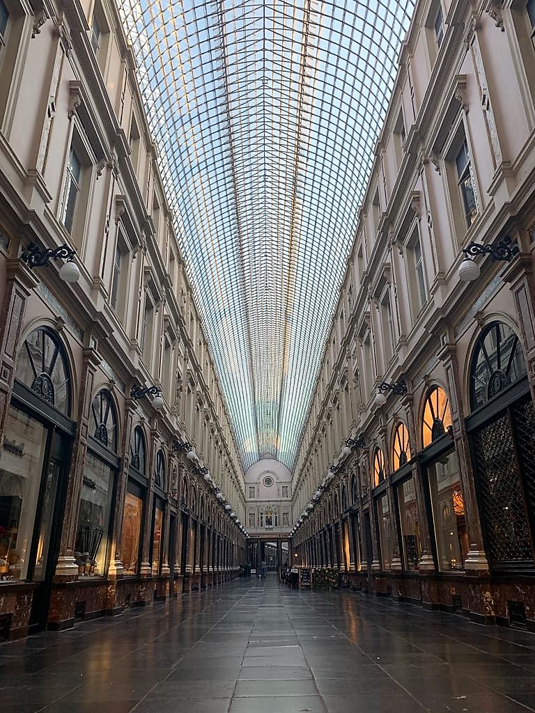 69151320_484302685723275_5749197970650169344_n